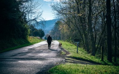 Walking for Wellbeing